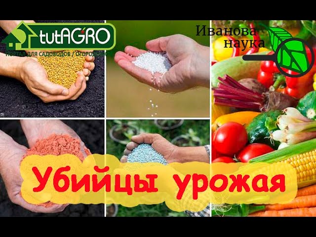 Как безопасно использовать минеральные удобрения