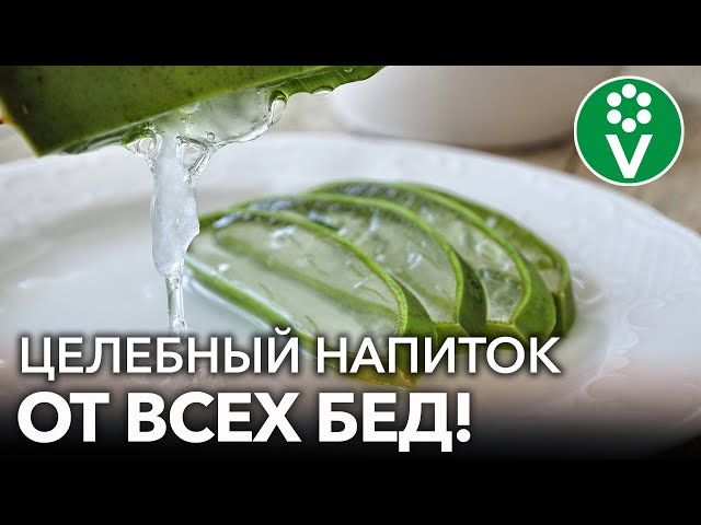 Эликсир молодости и здоровья по рецепту моей бабушки!