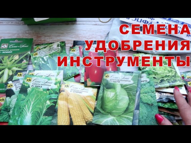 К дачному сезону готова: семена, инструменты, удобрения