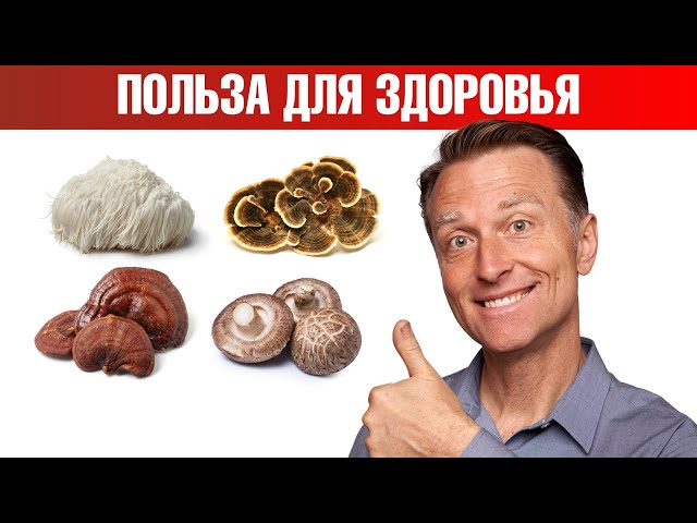 4 самых полезных гриба для здоровья