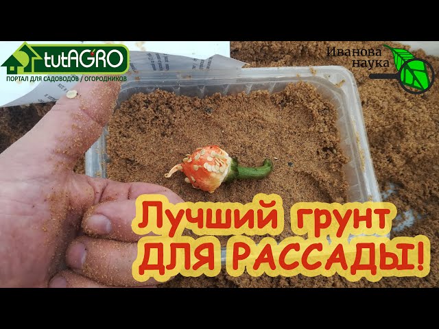 Лучший грунт для рассады!