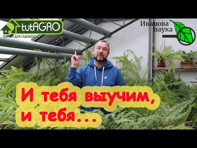 Научная пятница. ликвидация безграмотности