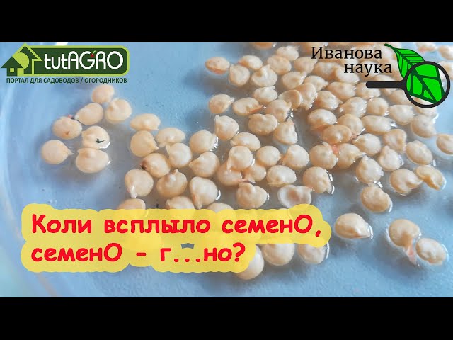 Если всплыло семено, то оно - г...но?