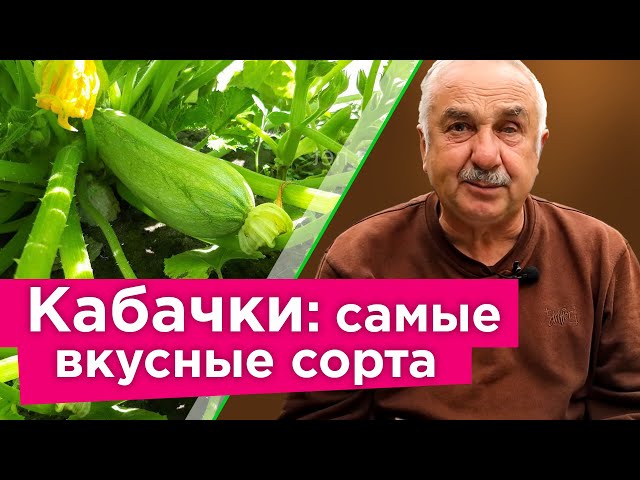 Компактные, но очень урожайные и вкусные сорта кабачков