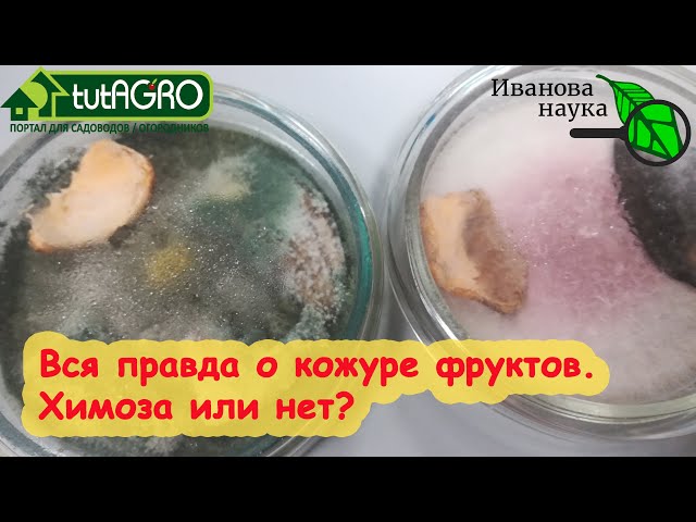 Правда о кожуре бананов, апельсинов, мандаринов