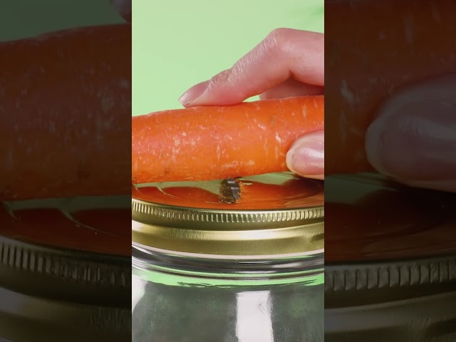 Срочно хватай морковь, банку и нож