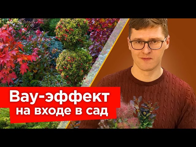 Прохожие не смогут оторвать взгляд от вашего участка, если посадите эти растения на входе