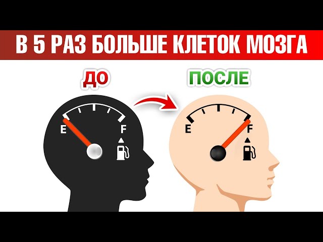 Как ускорить восстановление нервных клеток в 5 раз