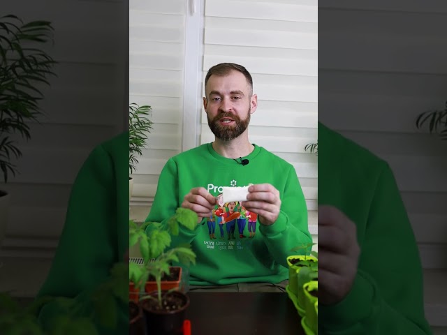 Конфеты для растений
