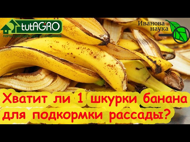 Подкормка банановой кожурой