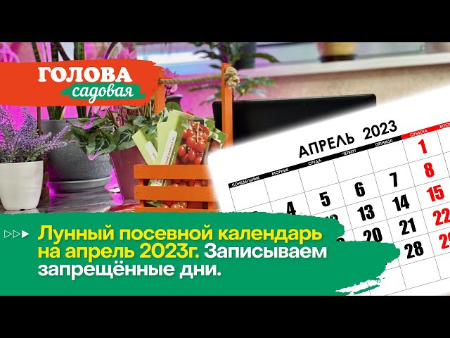 Лунный посевной календарь на апрель 2023