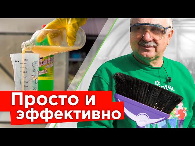 Чем помыть теплицу весной, чтобы избавиться от болезней и вредителей