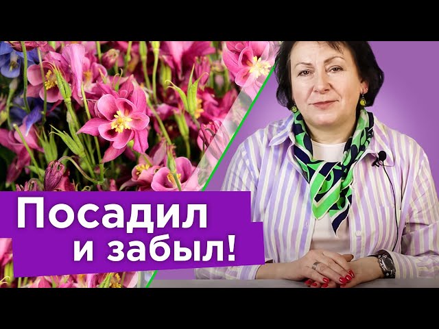 10 цветов в моем саду, которые не смогли уничтожить дожди и холод