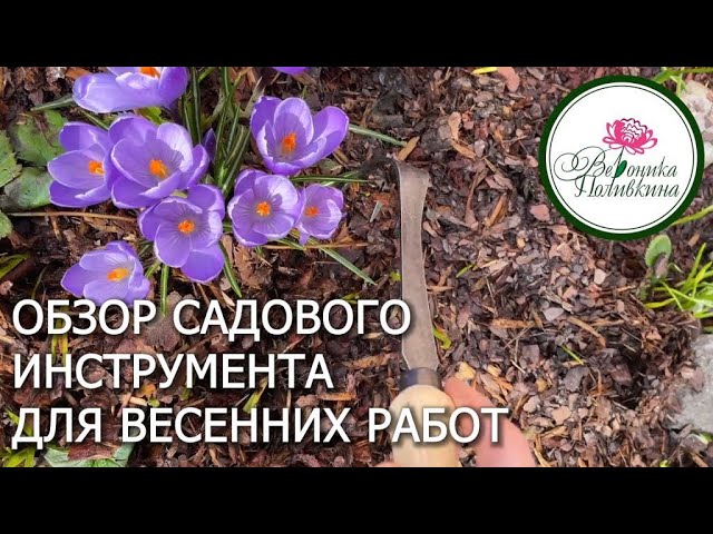 Какой садовый инструмент выбрать для весенних работ