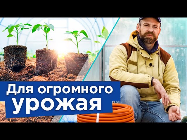 Как оживить истощенную почву в теплице весной
