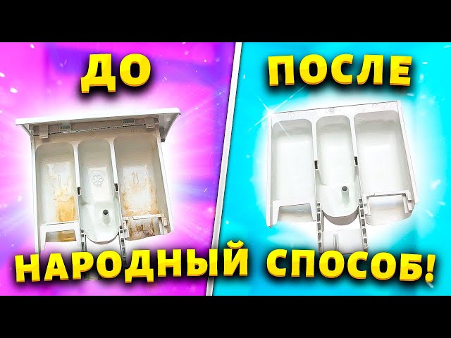 Даже самый грязный лоток отмыть для меня не проблема