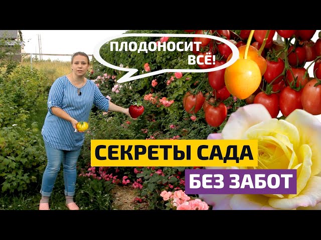 Правильное соседство и волшебная мульча