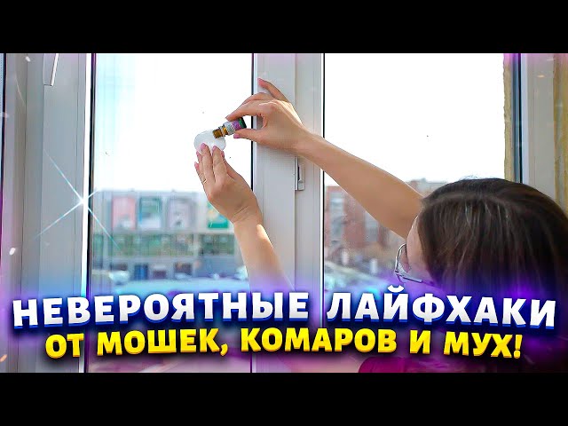 Комары и мухи забыли дорогу в мой дом