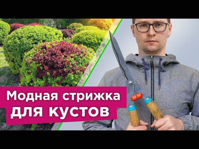 Какие кустарники стоит обрезать весной, а какие лучше не трогать