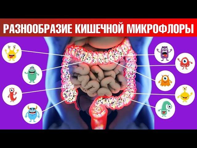 Как улучшить здоровье