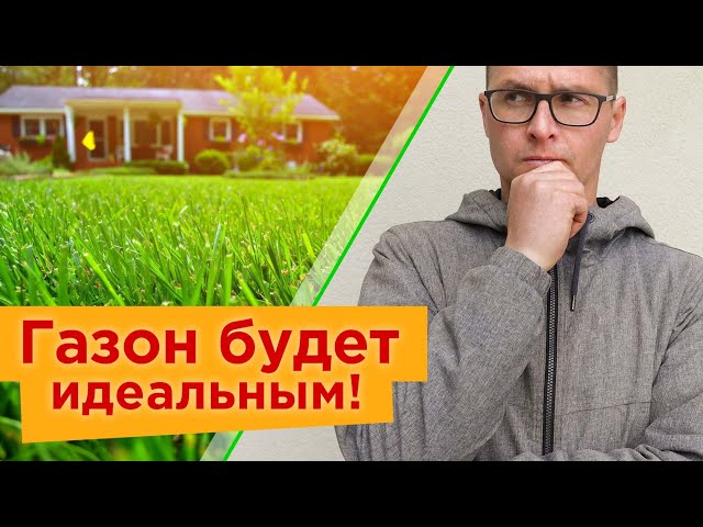 Супер газон начинается с весны