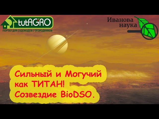 Созвездие Biodso - оранжевая звезда титаниум