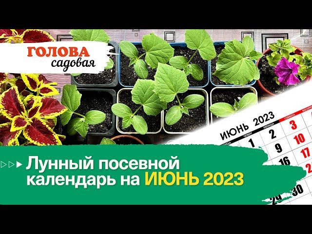 Лунный посевной календарь на июнь 2023