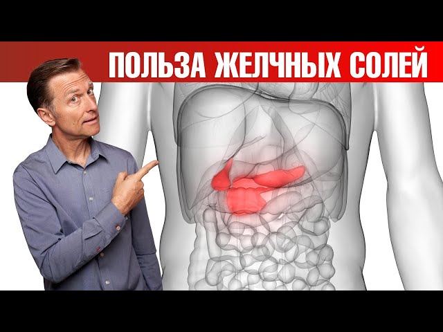 9 плюсов приема очищенных желчных солей