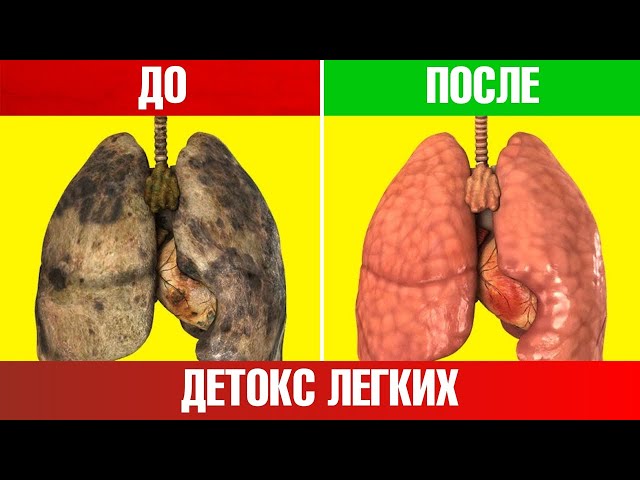 Лучшая защита легких и печени