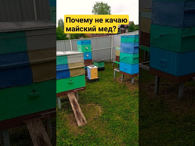 Почему не качаю майский мед