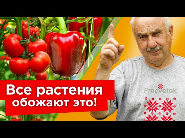 Натуральные подкормки для всего огорода
