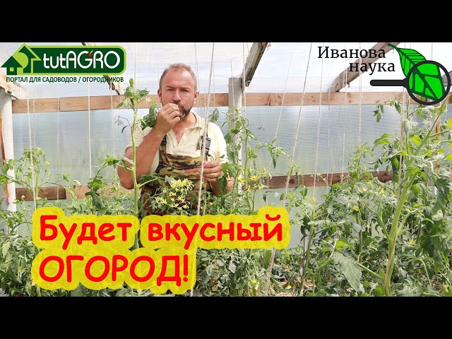 От этой подкормки очень вкусный огород