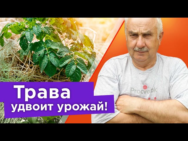 Вы больше никогда не будете выбрасывать скошенную траву