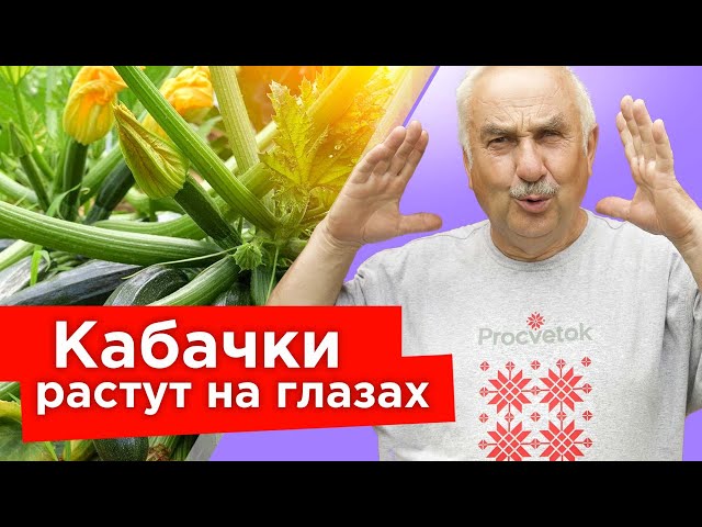 Кабачки обожают это