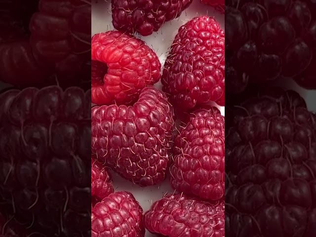 Как правильно замораживать ягоды