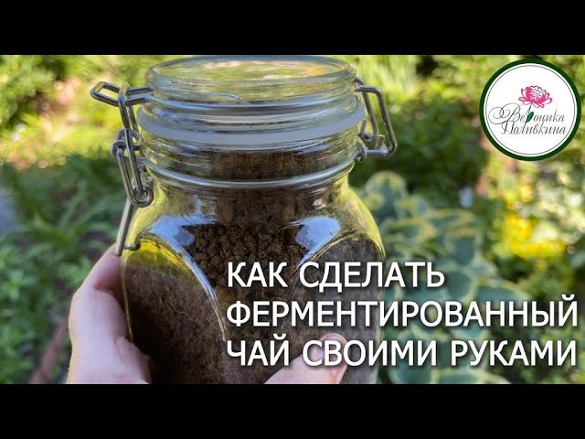 Заготавливаем свой чай  вкусно, полезно, выгодно