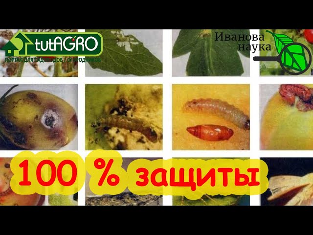 100 % защиты урожая без химии