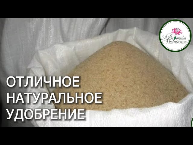 Отличное натуральное удобрение, про которое незаслуженно забыли