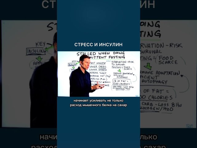 Как стресс повышает не только кортизол, но и инсулин