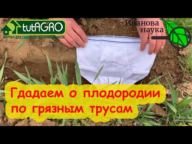 Тесты на плодородие почвы