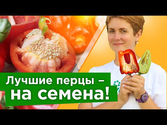 100% всхожесть у таких семян перца