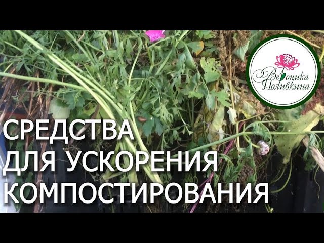 Различные средства для ускорения компостирования