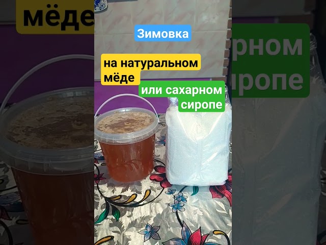 На чем лучше зимуют пчёлы на мёде или сахарном сиропе