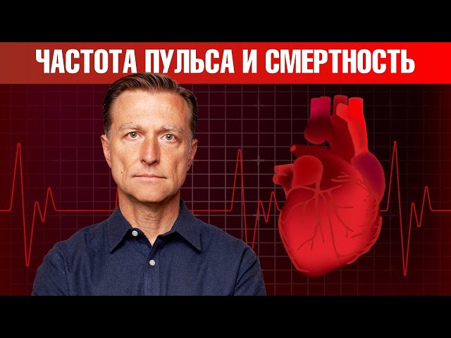 Проверь частоту пульса и узнай, сколько ты проживешь
