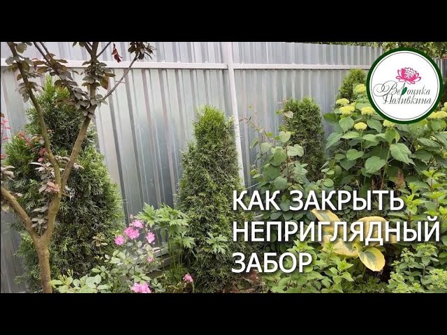 Как прикрыть неприглядные заборы