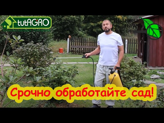 Обработка сада после сбора урожая