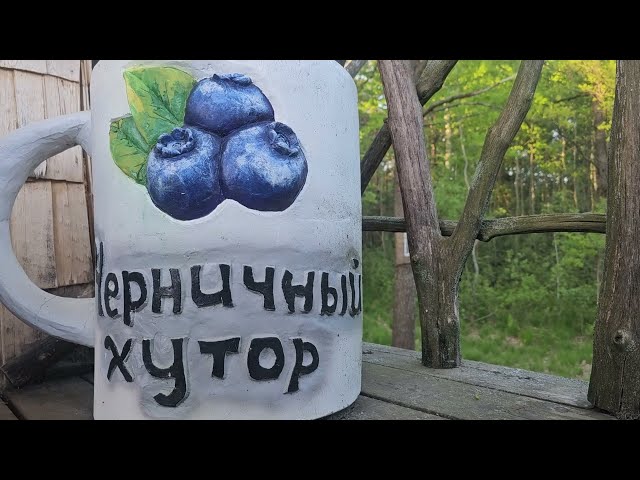 Настоящие утиные приключения...
